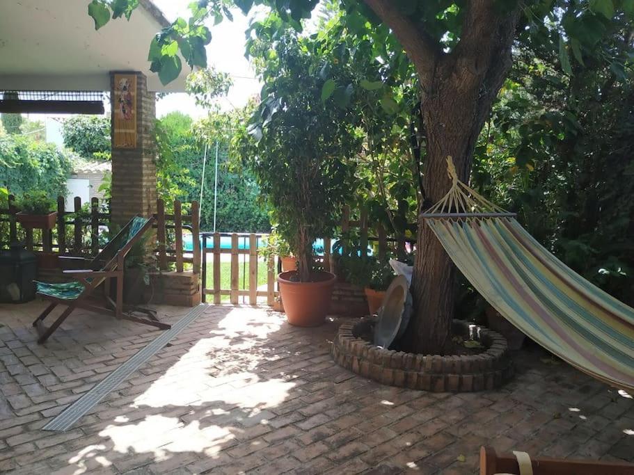 Dormir Entre Limones, Casa De Invitados En Vivienda Familiar Dos Hermanas Kültér fotó